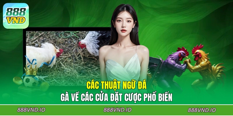 Các thuật ngữ đá gà về các cửa đặt cược phổ biến