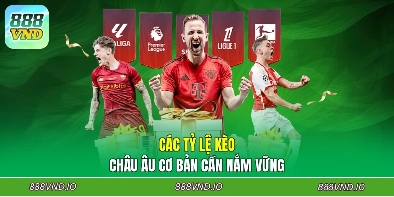 Các tỷ lệ kèo châu Âu cơ bản cần nắm vững