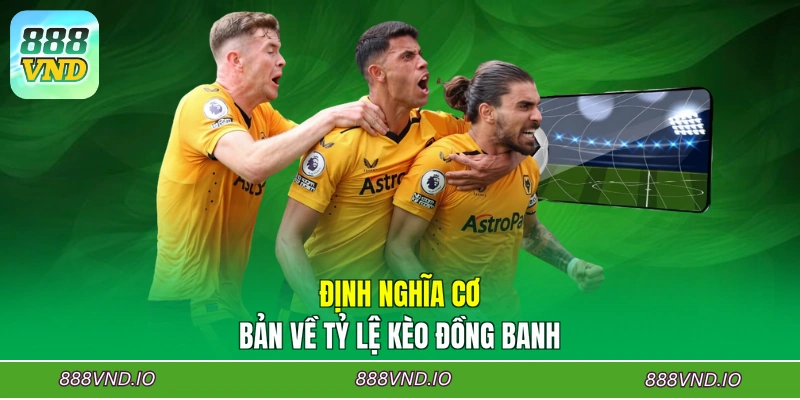 Định nghĩa cơ bản về tỷ lệ kèo đồng banh