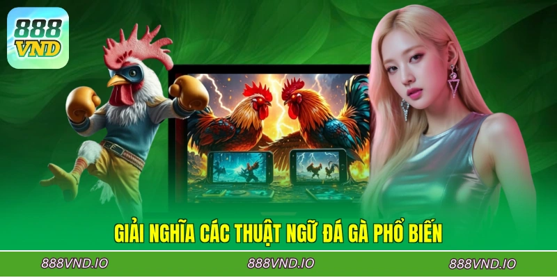 Giải nghĩa các thuật ngữ đá gà phổ biến