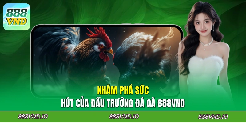 Khám phá sức hút của đấu trường đá gà 888VND