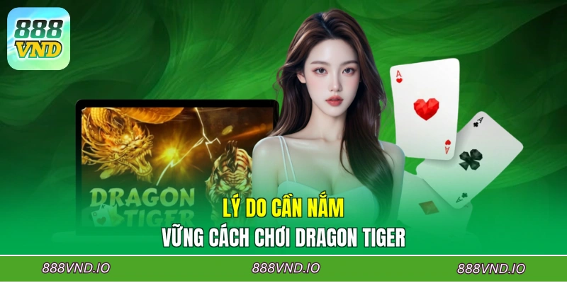 Lý do cần nắm vững cách chơi Dragon Tiger