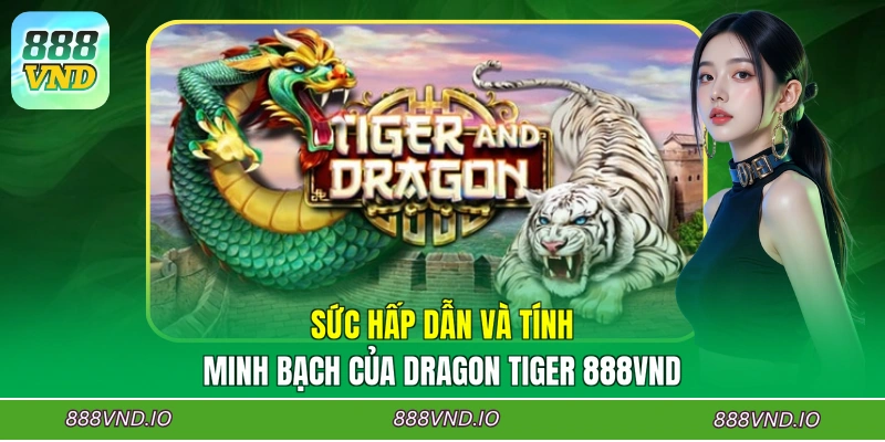 Sức hấp dẫn và tính minh bạch của Dragon Tiger 888VND